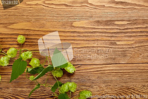 Image of Hop plant on a wooden table