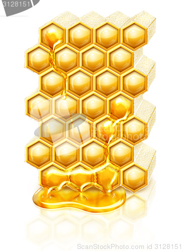 Image of Bee honeycombs