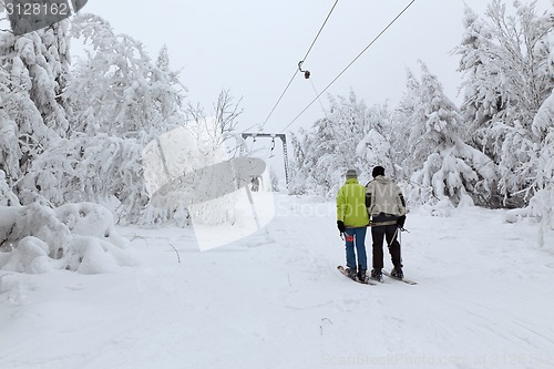 Image of Rope tow in frozen forest