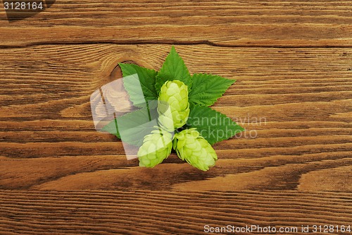 Image of Hop plant on a wooden table