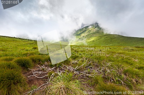 Image of Carpathian mountains