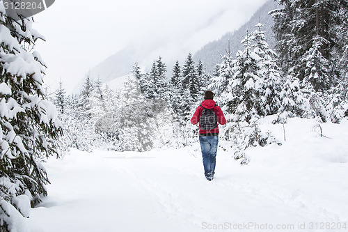 Image of Young man hiking in wintry forest landscape