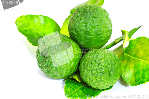 Image of Bergamot fruit on white background. 