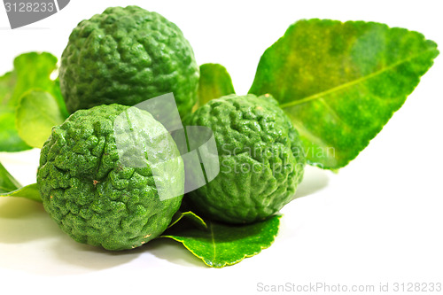 Image of Bergamot fruit on white background. 