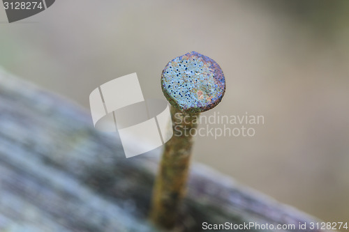 Image of Nail in wood surface, horizontal photo