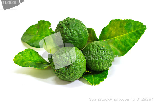 Image of Bergamot fruit on white background. 