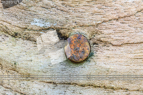 Image of Nail in wood surface, horizontal photo