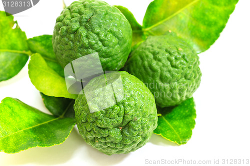 Image of Bergamot fruit on white background. 