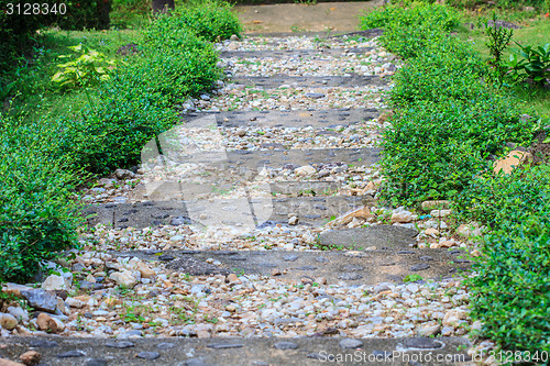 Image of Stone walkway in the park