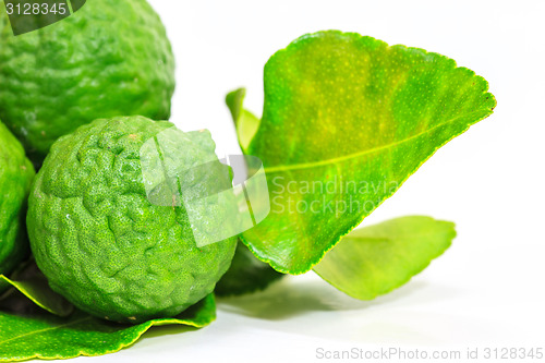 Image of Bergamot fruit on white background. 