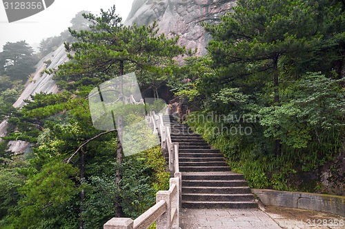 Image of Huangshan mountain stairs path into forest