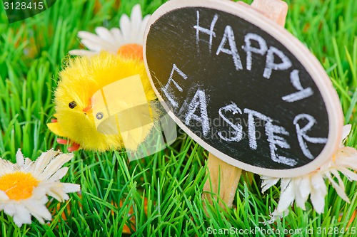 Image of Small easter chicken on the grass