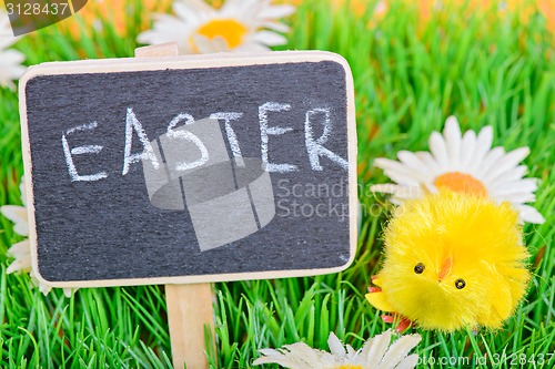 Image of Easter chicken with chalkboard