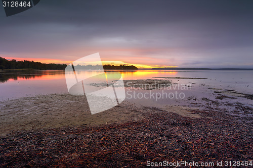 Image of Serenity in the rain at Sanctuary Point