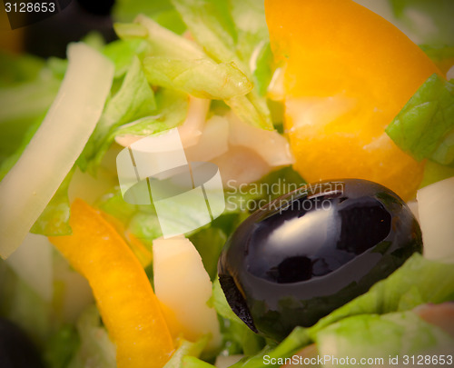Image of Assorted salad of green leaf lettuce with squid and black olives