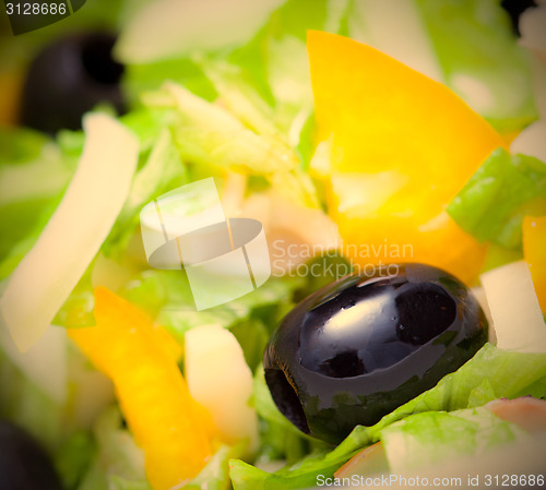 Image of Assorted green leaf lettuce with squid and black olives