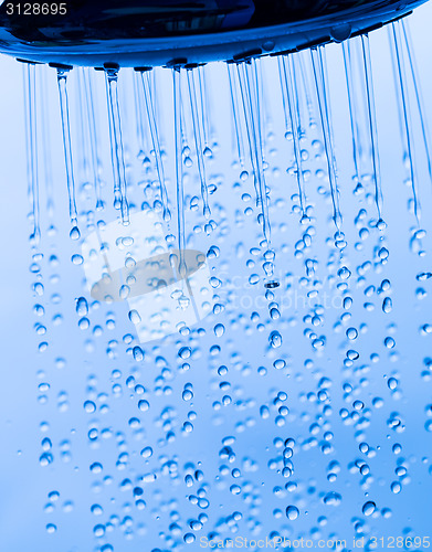 Image of Shower Head with Running Water