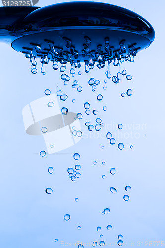 Image of Shower Head with Running Water