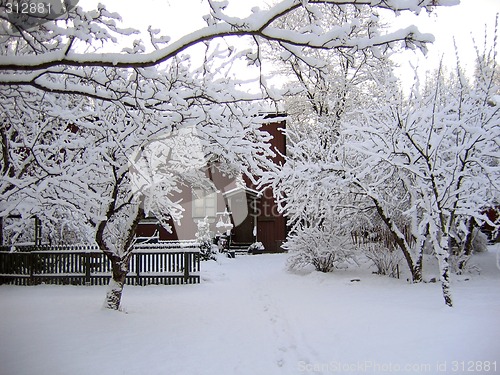 Image of Winter garden