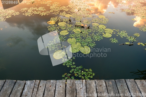 Image of Peaceful place at the pond