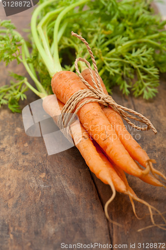 Image of baby carrots bunch tied with rope