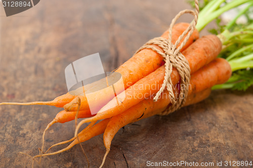 Image of baby carrots bunch tied with rope