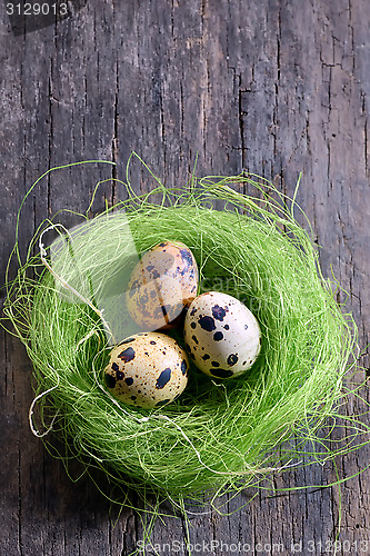 Image of Quail's eggs in a nest
