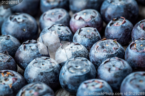 Image of Blueberries background