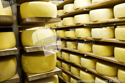 Image of Cheese in shelf