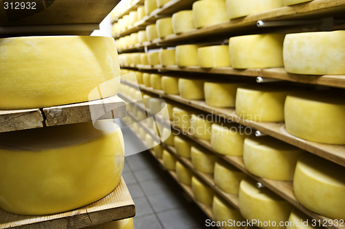 Image of Cheese drying