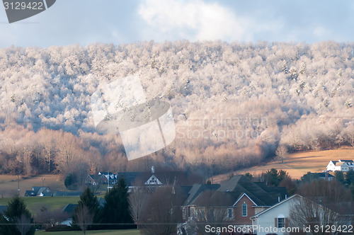 Image of snowy forest landscape during winter