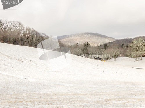 Image of snowy forest landscape during winter