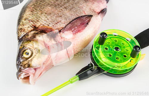 Image of  bream and Rod is isolated on a white background 