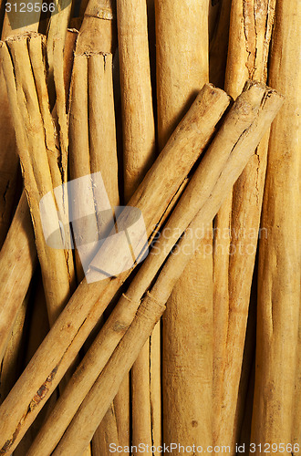 Image of Cinnamon sticks