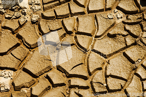 Image of Cracked soil