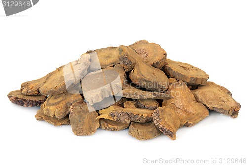 Image of Chinese Rhubarb