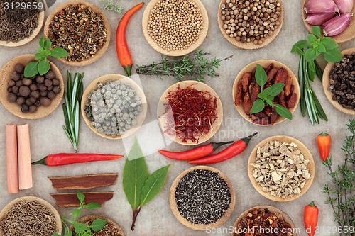 Image of Herb and Spice Selection