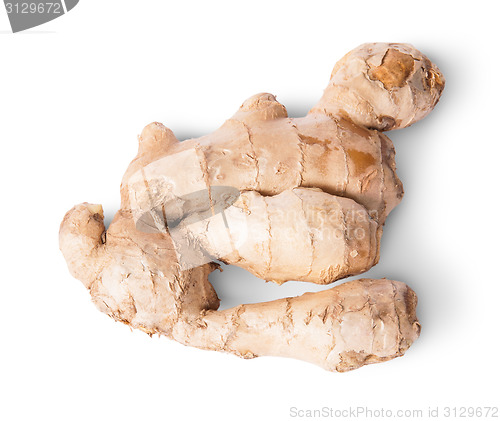 Image of Entire ginger root top view reverse