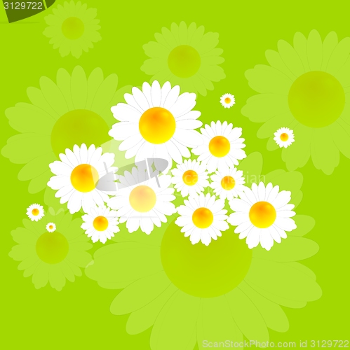 Image of Bright summer background with camomile flowers