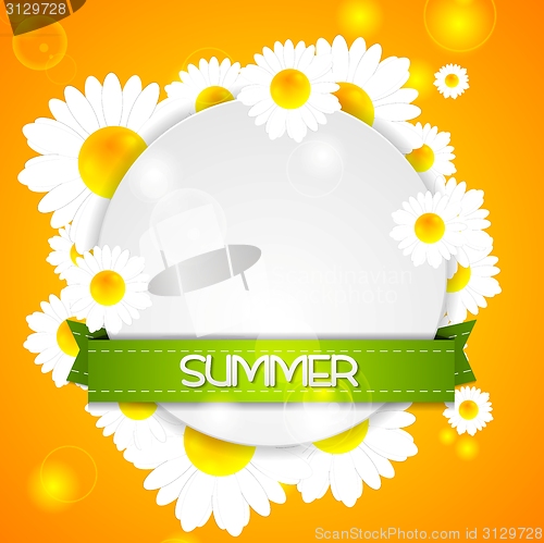 Image of Summer design. Camomiles and ribbon