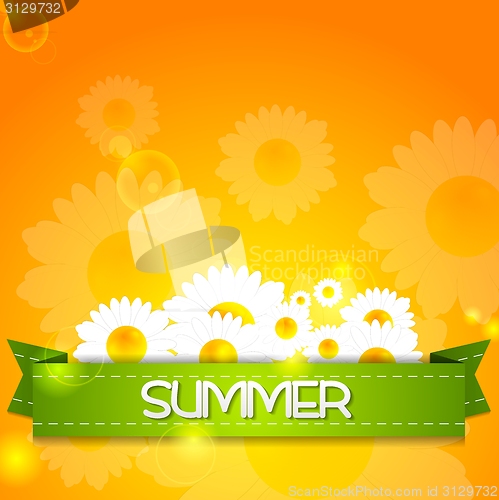 Image of Summer design. Camomiles and ribbon