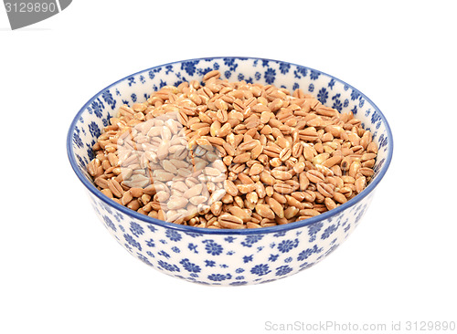 Image of Farro dicocco, or Italian spelt, in a blue and white china bowl