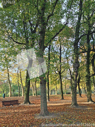 Image of Park in Brussels, Belgium