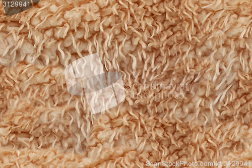 Image of lambs wool