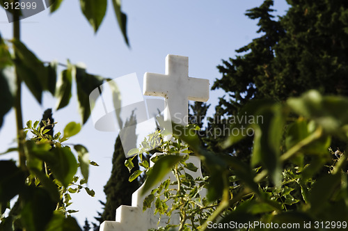 Image of Cross between the trees