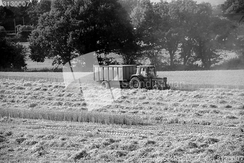 Image of Tractor pulling trailer in a harvested field