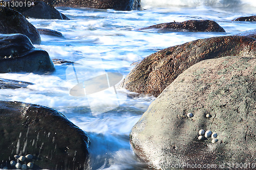 Image of Stone Beach