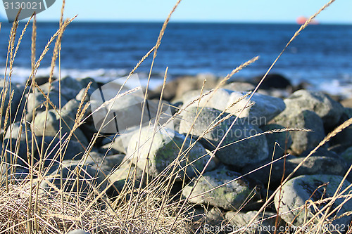 Image of Stones at the Shore