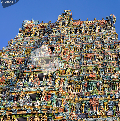 Image of Meenakshi Amman Temple