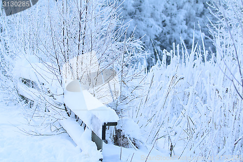 Image of Winter Scene